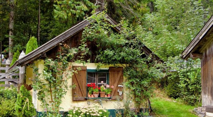 Wat is een tuinkantoor?