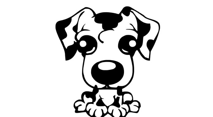 Geweldige muurstickers voor je kinderkamer