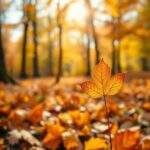 Hoe betrouwbare weersvoorspellingen je dagelijkse leven beïnvloeden